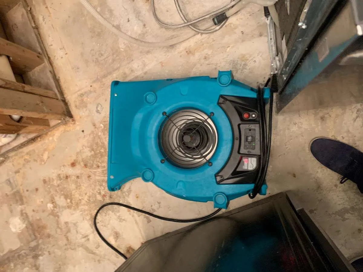 Air mover drying equipment for Mold Remediation & Removal in Bowling Green